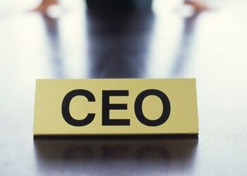 CEO’s Shown to Drive Transformation in the Public Sector