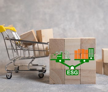 How retail businesses can meet ESG demands